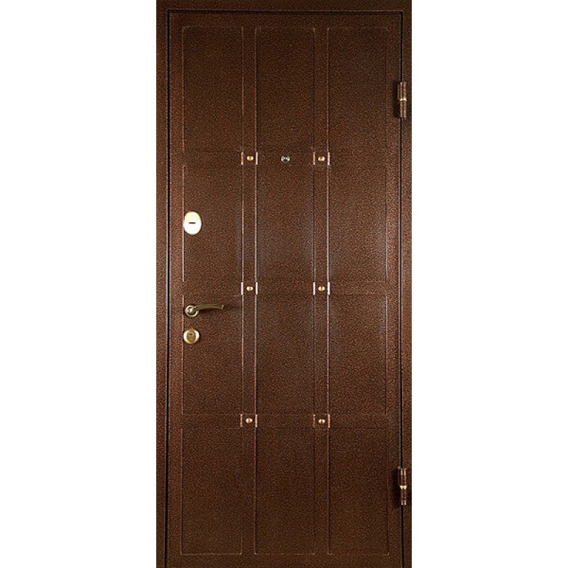 Топ-5 входных металлических дверей