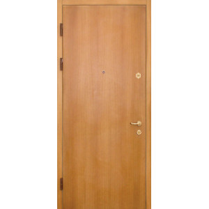 Утепленная дверь стальная ДБС 2-01